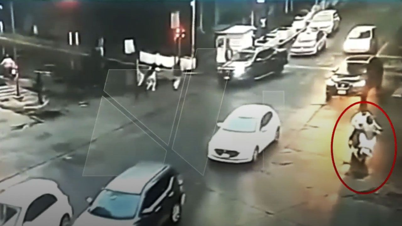 Cámaras captaron el momento en que cuatro hombres huyeron luego de robar 15 relojes de una joyería de Plaza Antara en Polanco