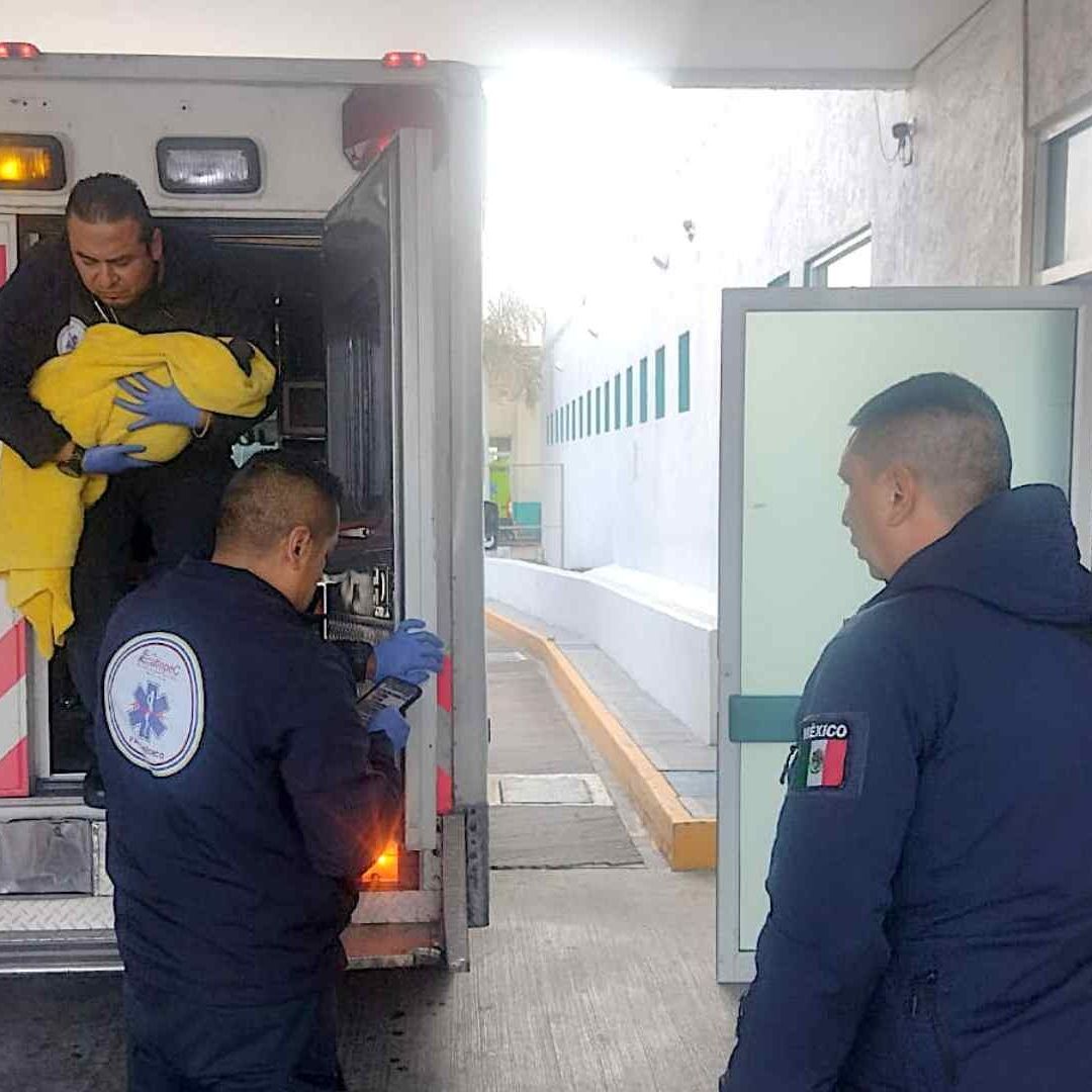 Rescatan a recién nacido abandonado en jardinera, en Ecatepec