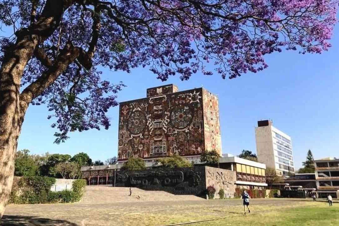 UNAM, la Mejor Universidad de Latinoamérica: Vuelve al Ranking de las 100 Mejores Escuelas