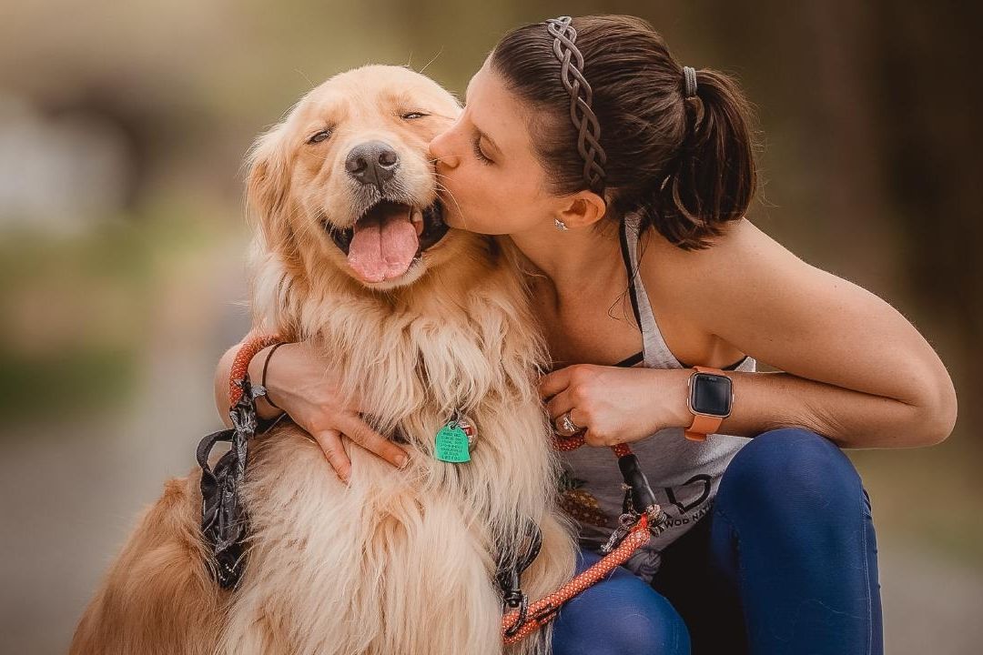 Los perros jamás podrán olvidar a su dueño