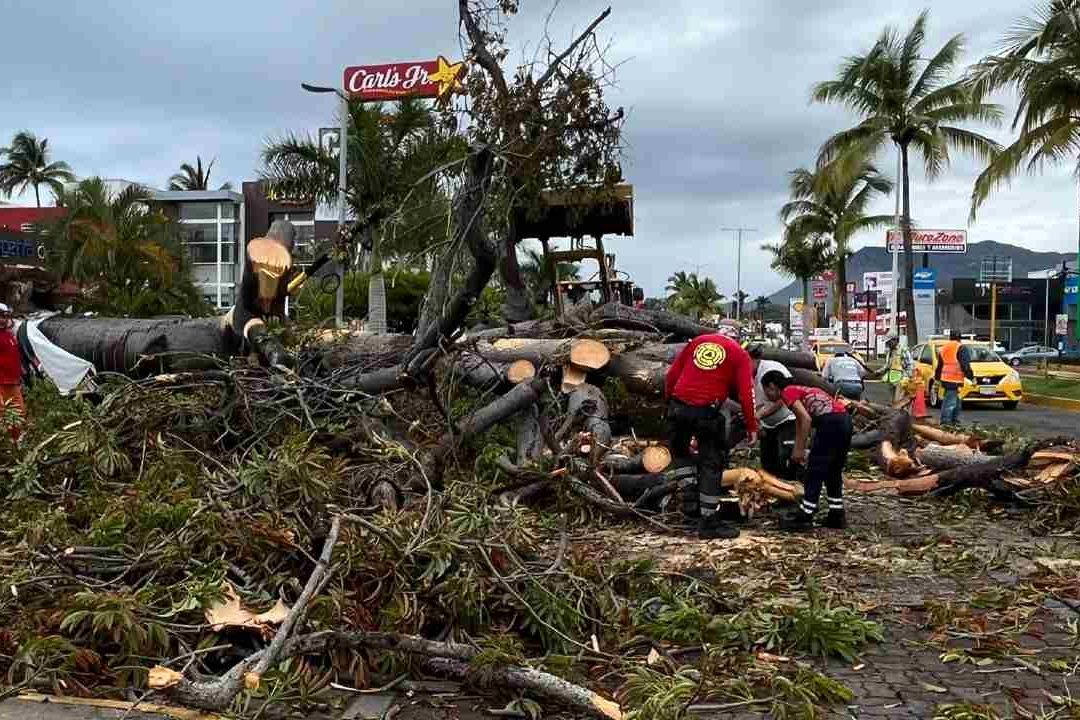 Beatriz provoca cortes del cableado eléctrico en Colima