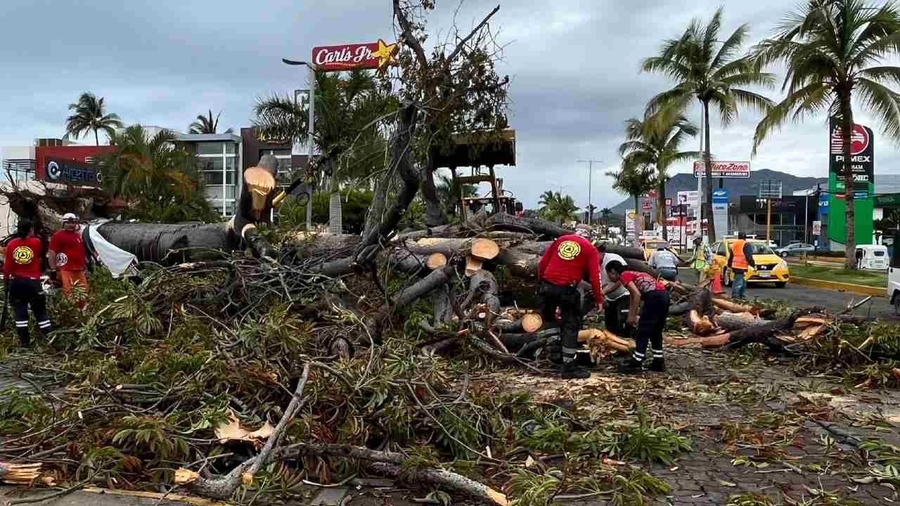 Beatriz provoca cortes del cableado eléctrico en Colima