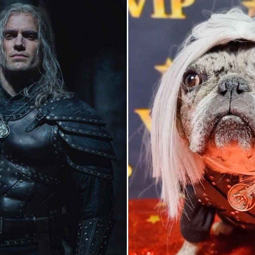 Video: Así Fue la Reacción de la Perrita Rory al Conocer a Henry Cavill