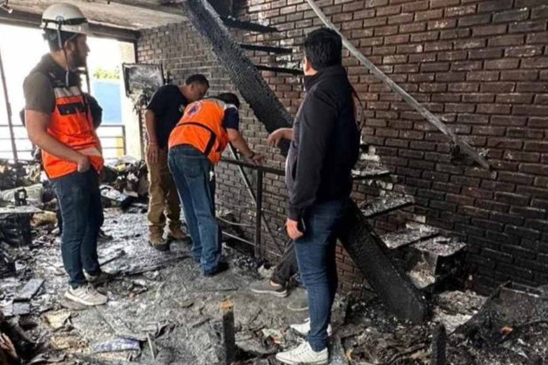 Tragedia: Mueren 6 Perritos por Incendio en Departamento de La Nápoles