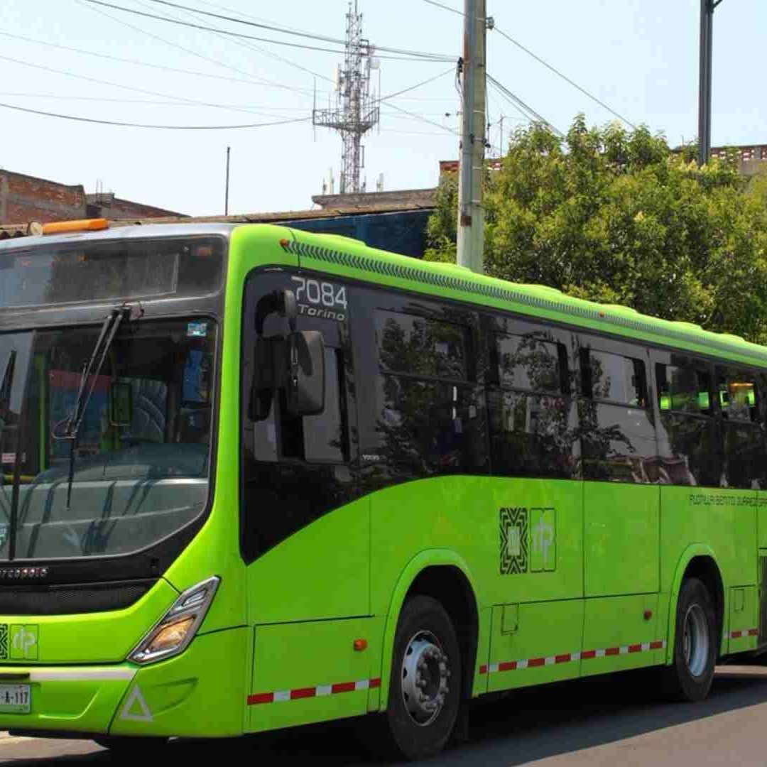 RTP Tendrá Películas Durante sus Viajes