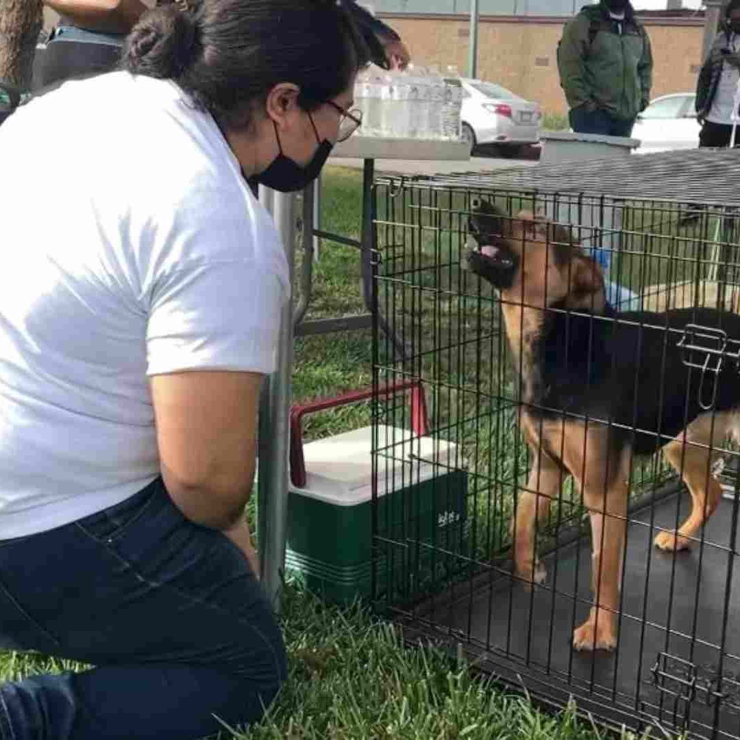 Organizan 'Croquetón' en beneficio de animales callejeros y del Control Animal de Tijuana