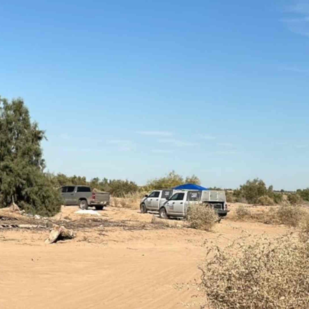 Localizan fosa clandestina en límites de Baja California y Sonora