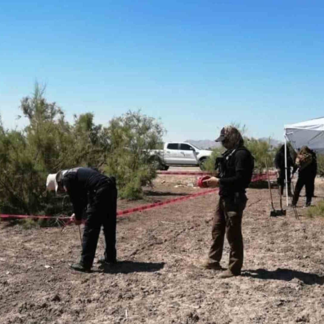 Con pruebas rápidas identificarán cuerpos localizados en fosa clandestina en Mexicali, BC