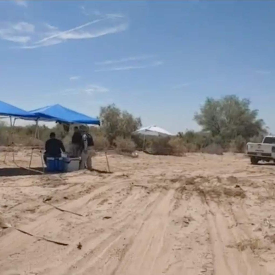 Localizan dos restos humanos más en fosa clandestina de Mexicali, Baja California