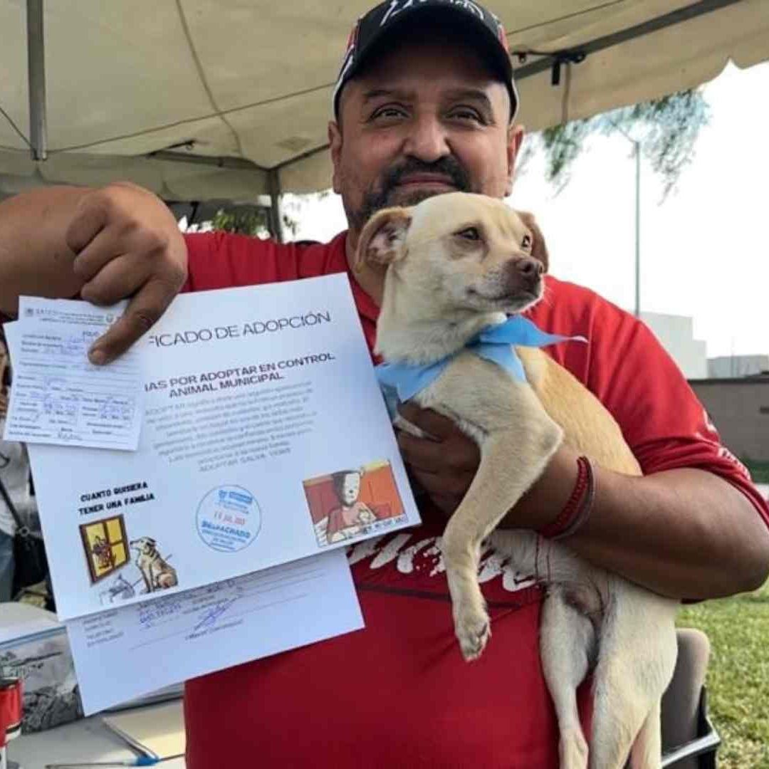 Tijuana se une en jornada de apoyo para animales callejeros