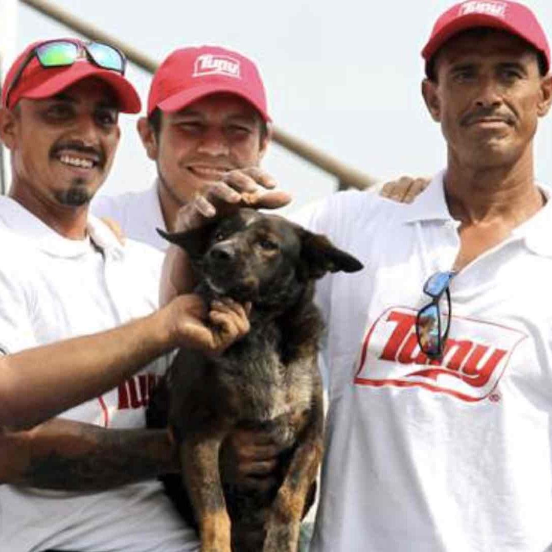 Bella tendrá un hermano perrito de nombre Vicente