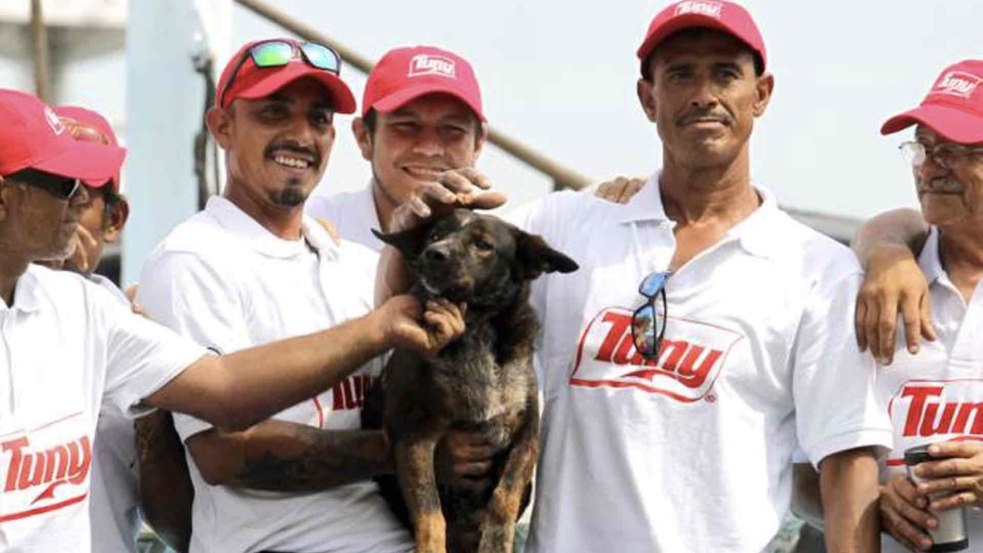 Bella tendrá un hermano perrito de nombre Vicente