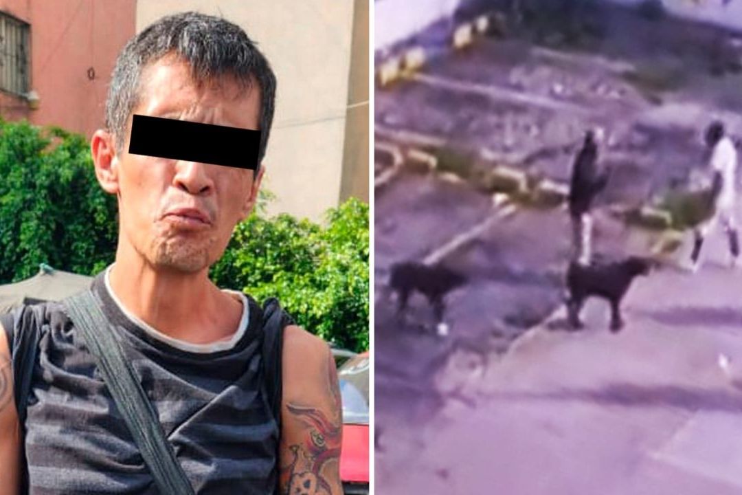 SSC-CDMX confirma detención del presunto asesino del perro Zeus