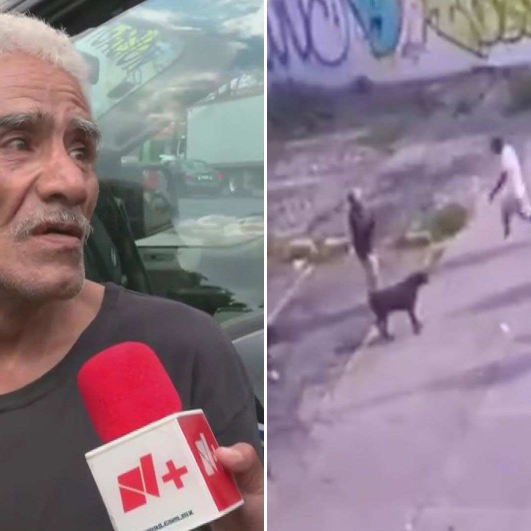 “Era Mi Familia”: Dueño de Perrito Asesinado en Intento de Asalto en CDMX