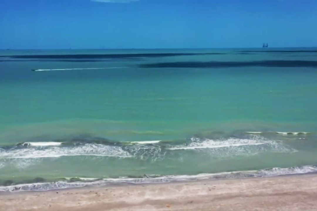 Avanza Ecocidio en la Sonda de Campeche tras Derrame de Petroleo
