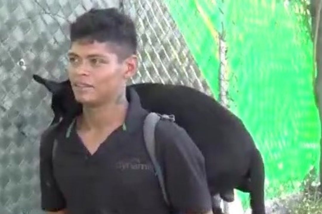 Migrante y su Perrito Recorren 12 Países con Rumbo a Canadá