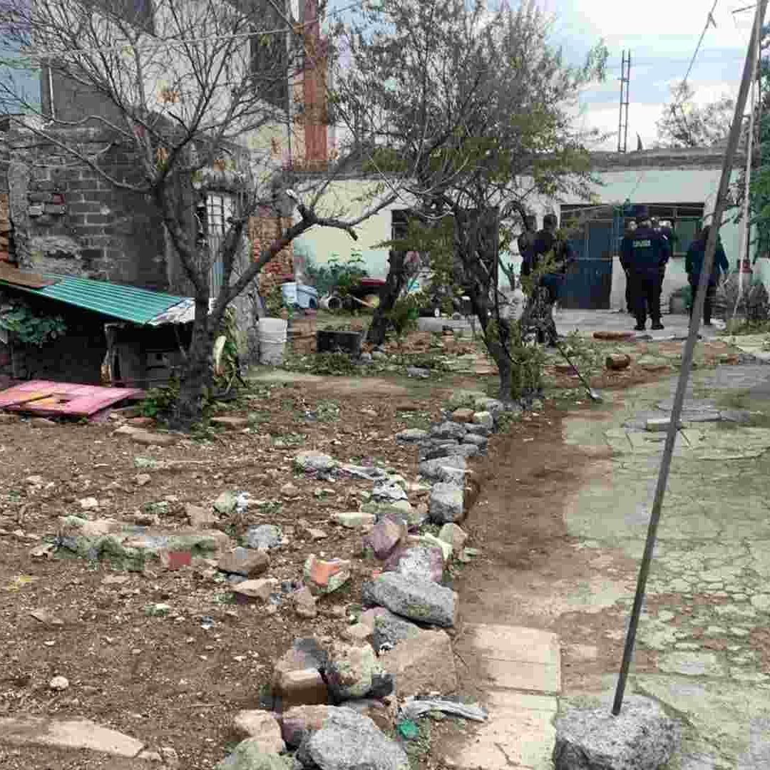 Rescatan a 10 Perros Abandonados en un predio en Ecatepec
