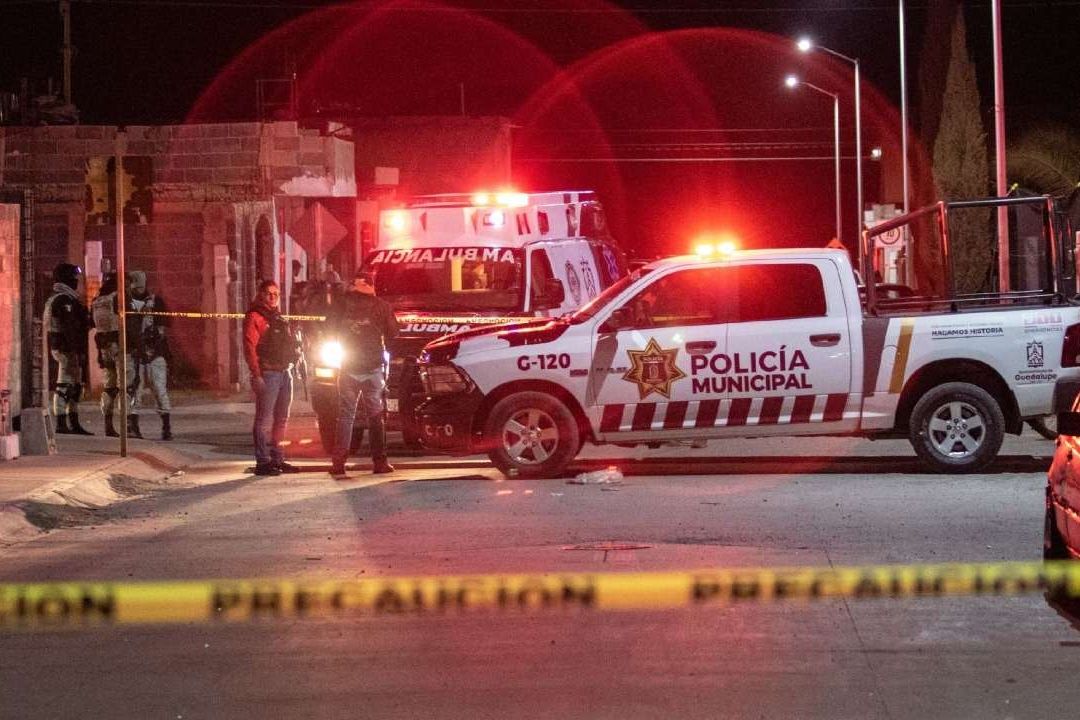 Jauría de Perros Mata a Abuelito en Teolochalco, Tlaxcala