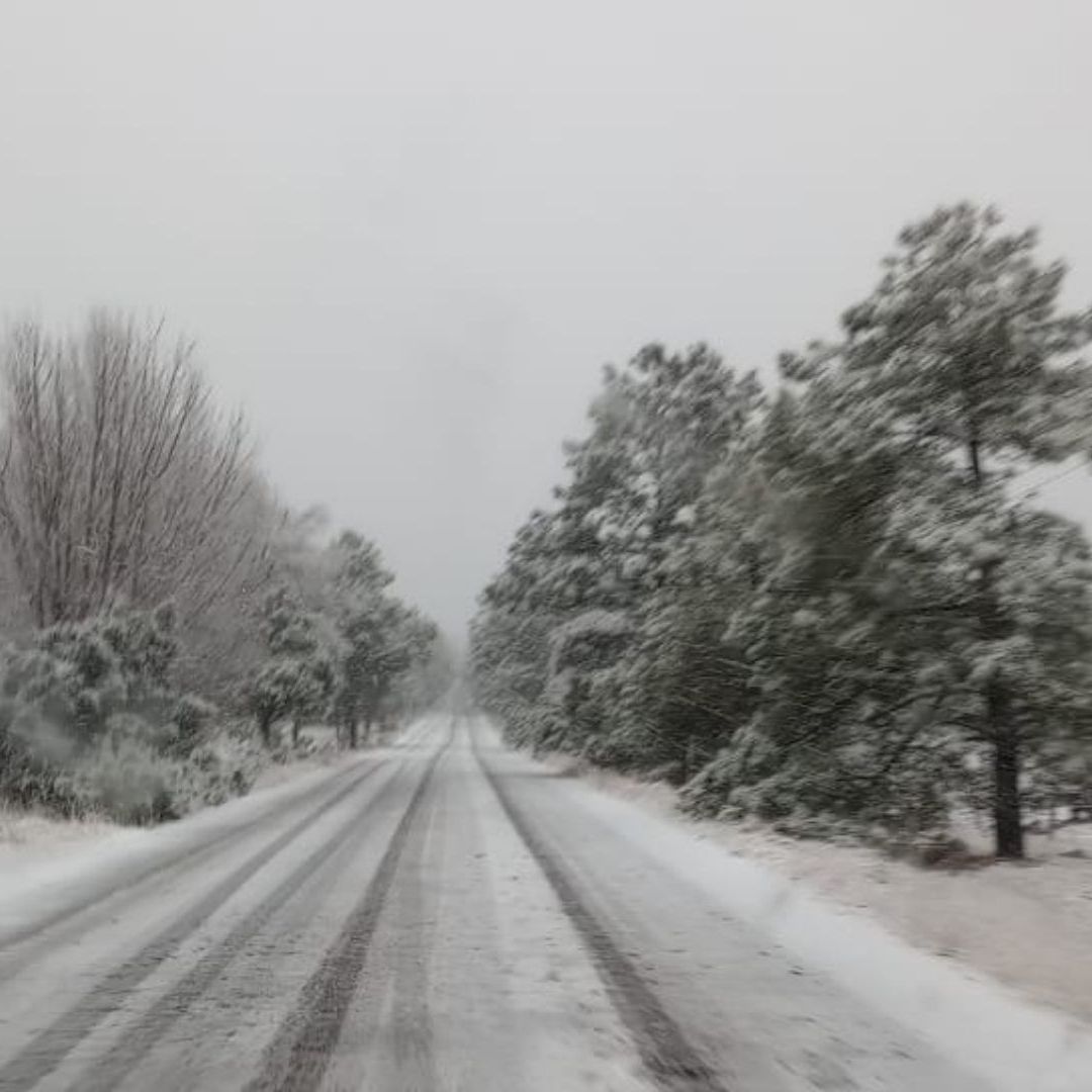 Estos son los Siete Municipios de Chihuahua que Estuvieron Nevados Tras el Frente Frío 27