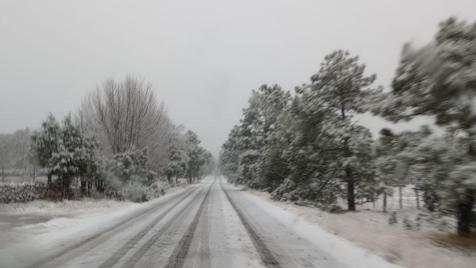 Estos son los Siete Municipios de Chihuahua que Estuvieron Nevados Tras el Frente Frío 27