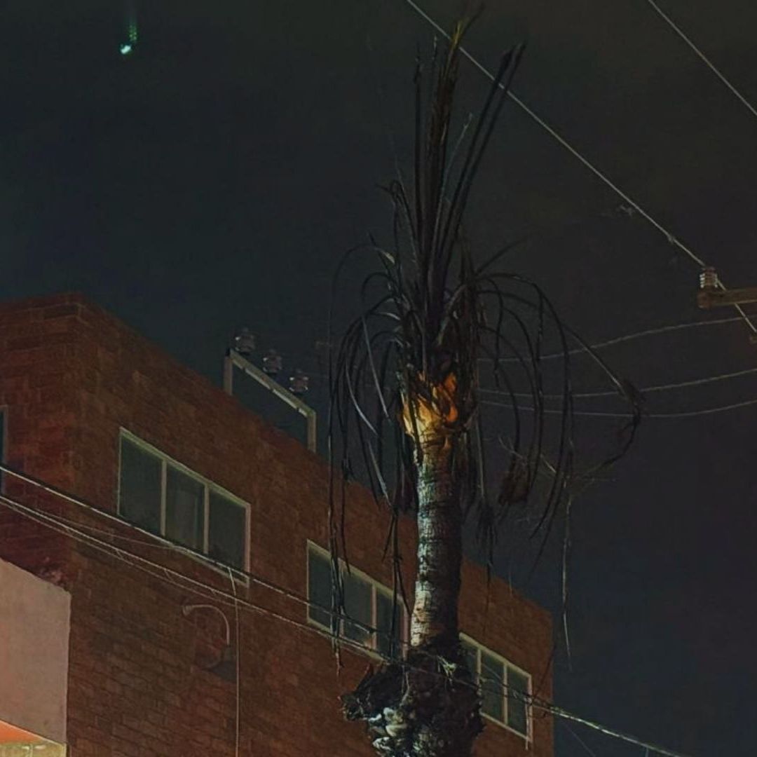 Falta de Mantenimiento Habría Provocado el Incendio | Foto: N+