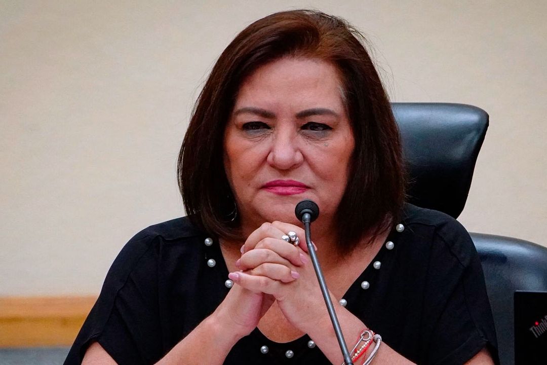 INE prepara lineamientos sobre precampañas rumbo a elecciones 2024, dice Taddei Zavala