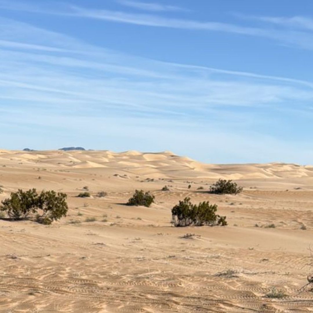 Dunas del valle de Mexicali