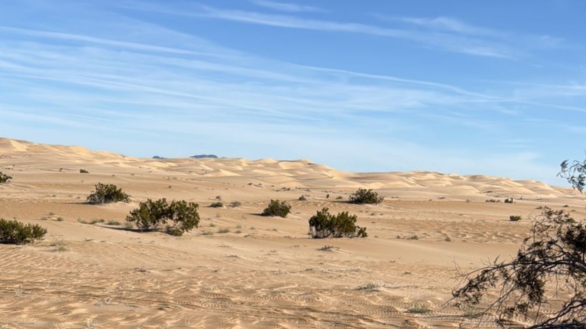 Dunas del valle de Mexicali