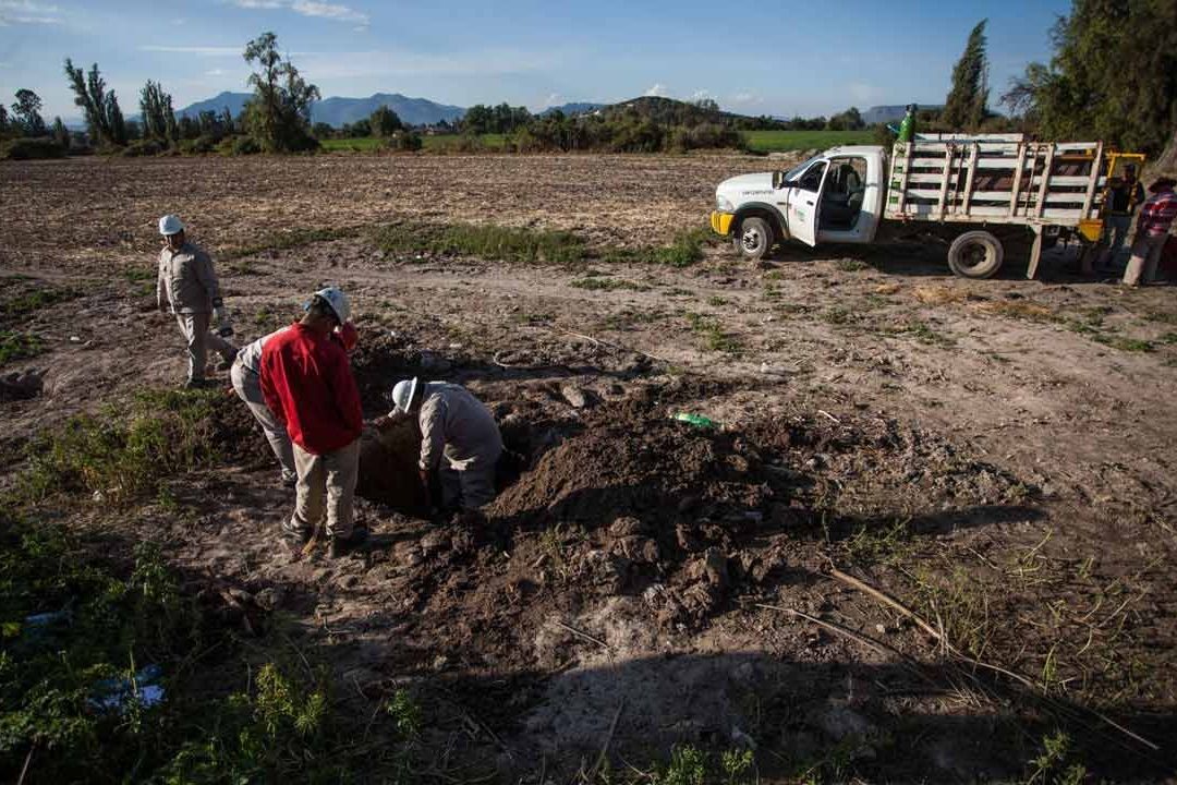 Pemex: Huachicol Cuesta 4 Mil Millones de Pesos en Reparaciones de Tomas Clandestinas