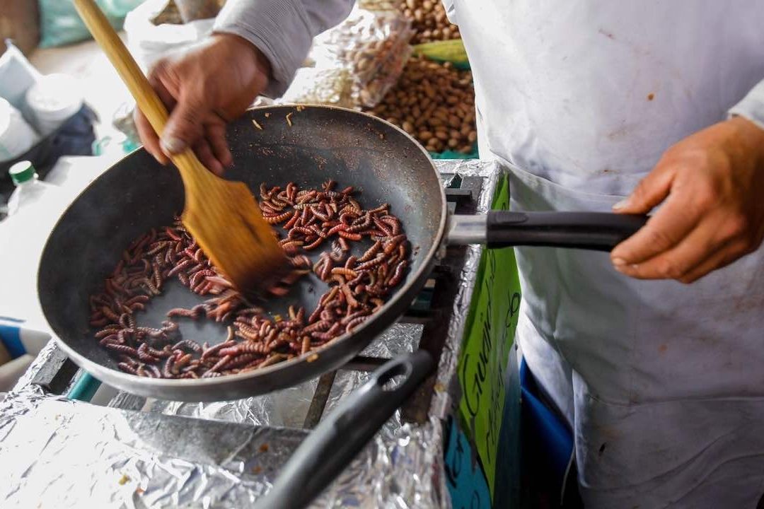 Estas Son las Peores Comidas de México según Taste Atlas