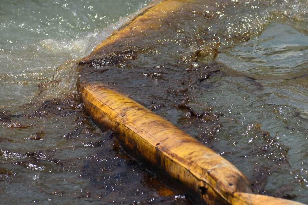 Derrame de Petróleo Afecta Turismo, Flora y Fauna en Campeche