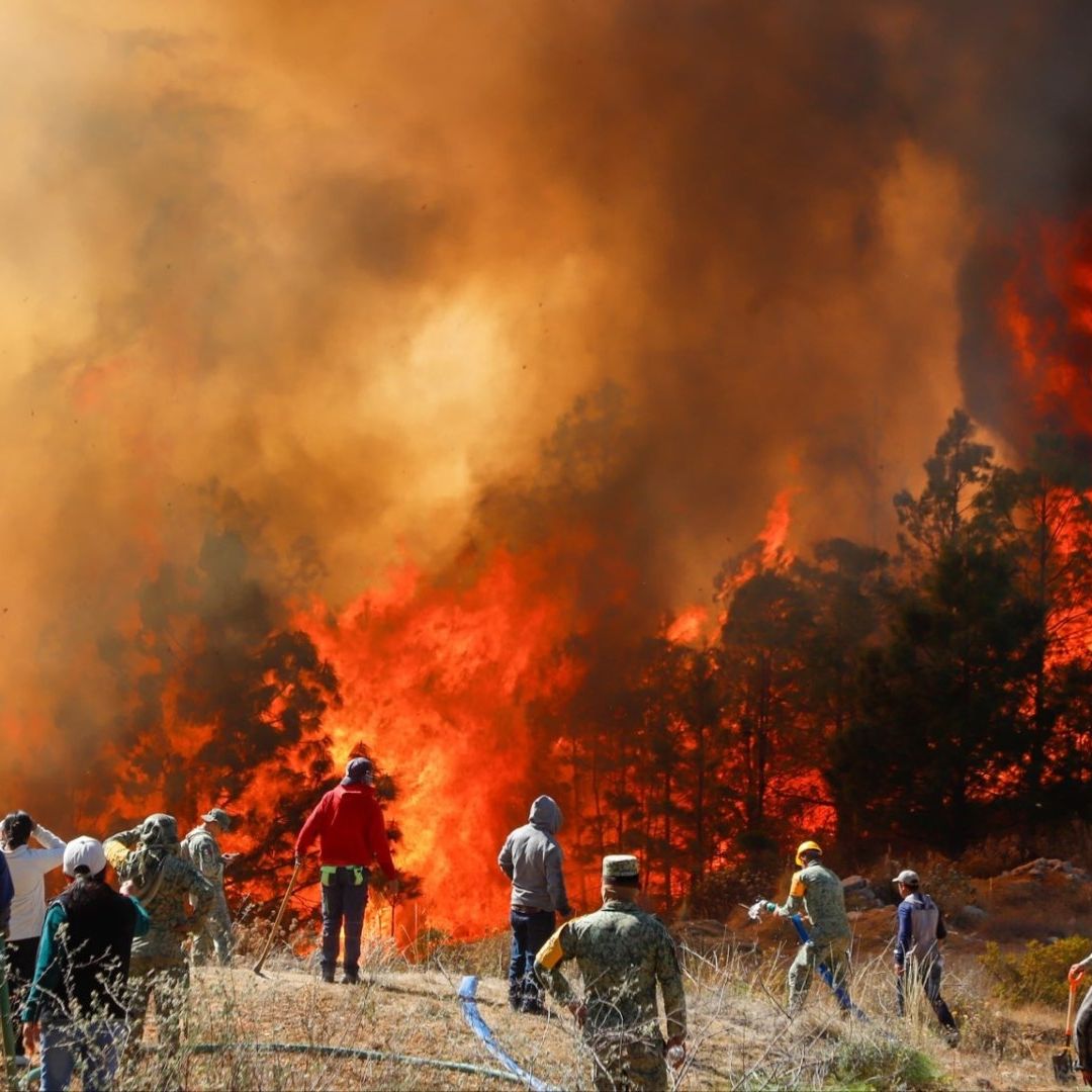 Incendio Forestal Activo en Bosque Vicente Guerrero Sierra Negra de Puebla