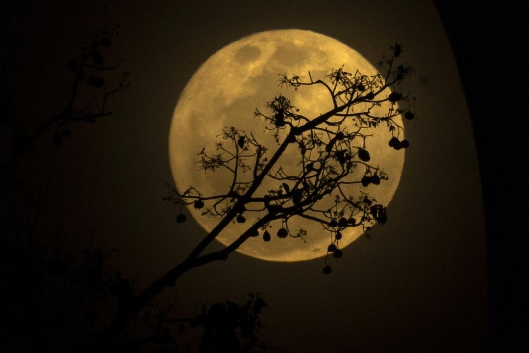 Checa cómo ver la super luna de esturión este 1 de agosto 2023