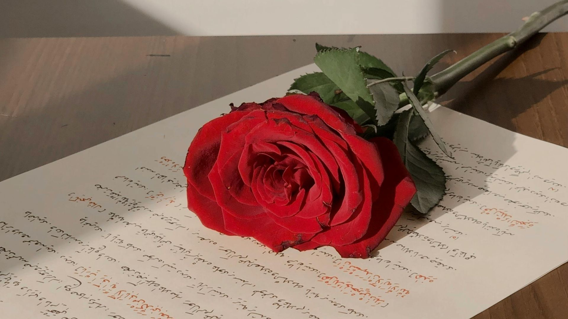 Checa los Mejores Poemas de Amor para el 14 de Febrero para Dedicar una Tarjeta para Día de San Valentín 2026