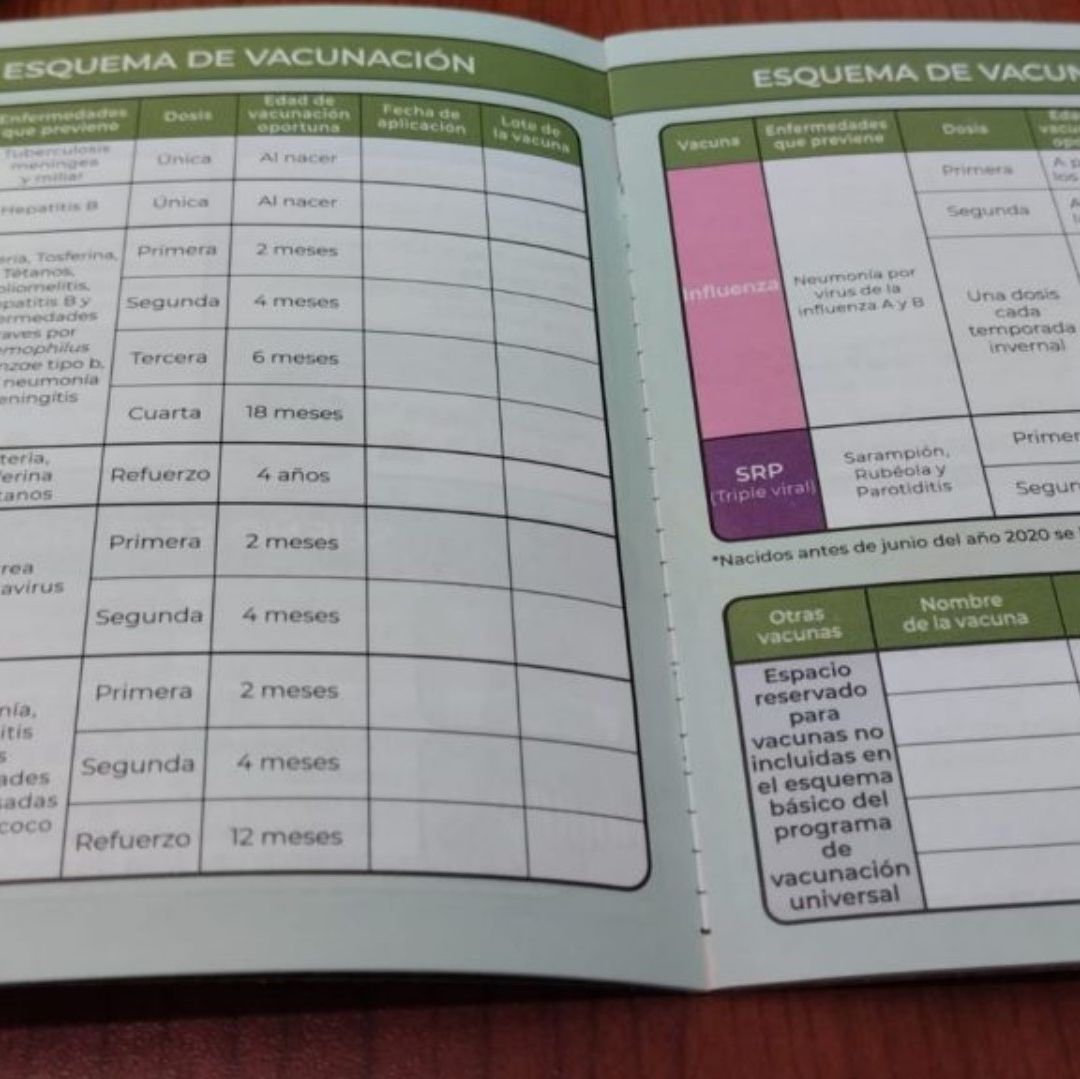 Nueva cartilla de vacunación.