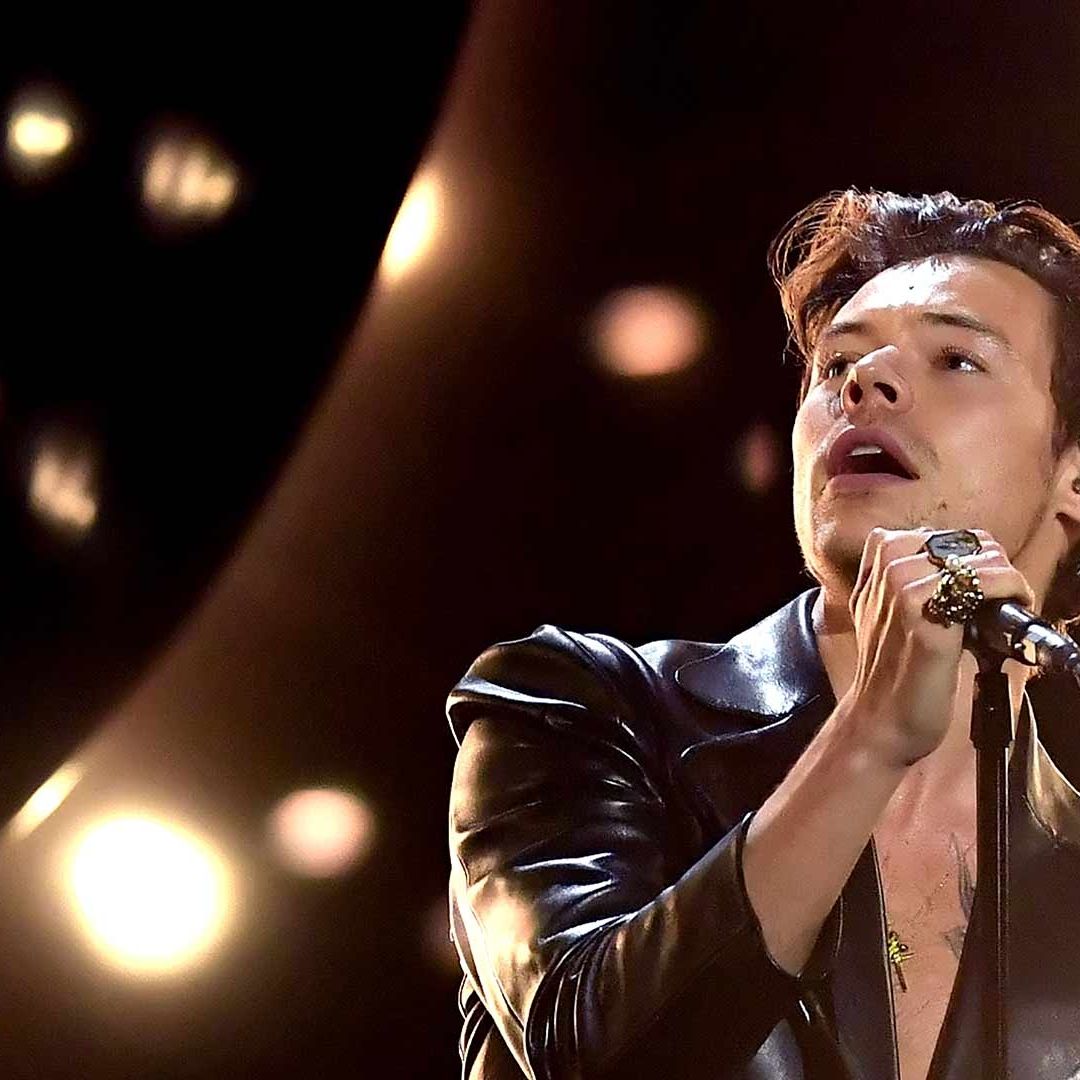 Harry Styles Dona 6.5 Millones de Dólares Recaudados en Gira Mundial