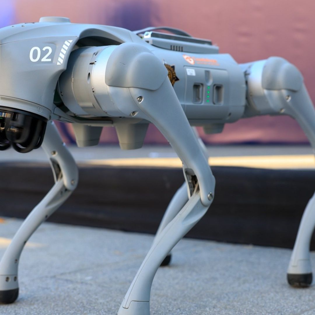 Así Son los 'Perros Robot' que Cuidarán el Mundial en Nuevo León: ¿Cuánto Costaron?