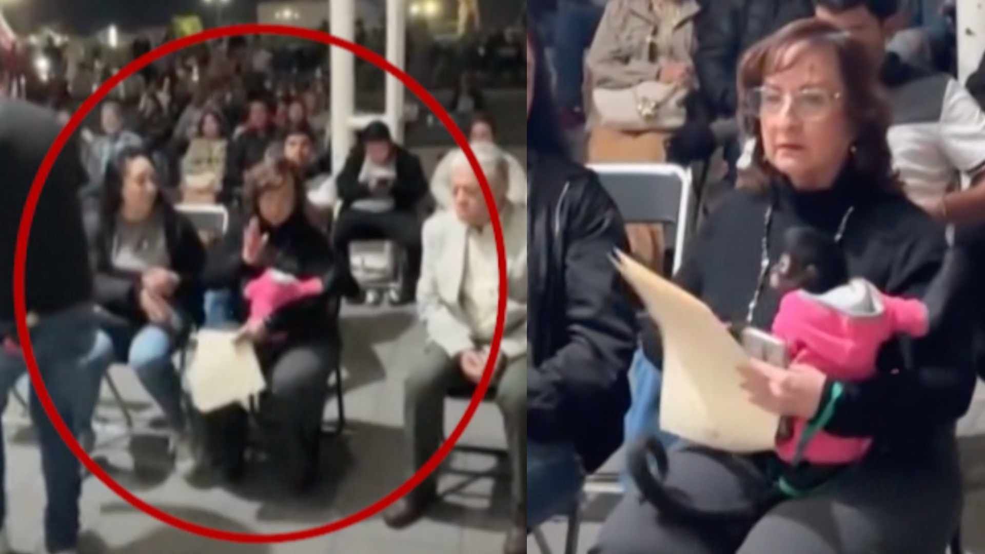 La regidora aseguró que el animal no le pertenece