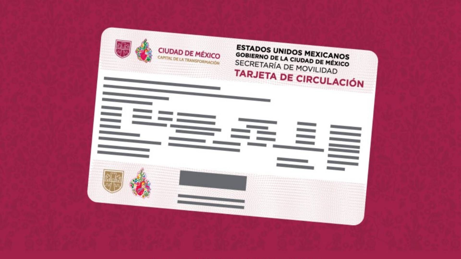 Costo y Requisitos Tarjeta de Circulación en Línea 2026