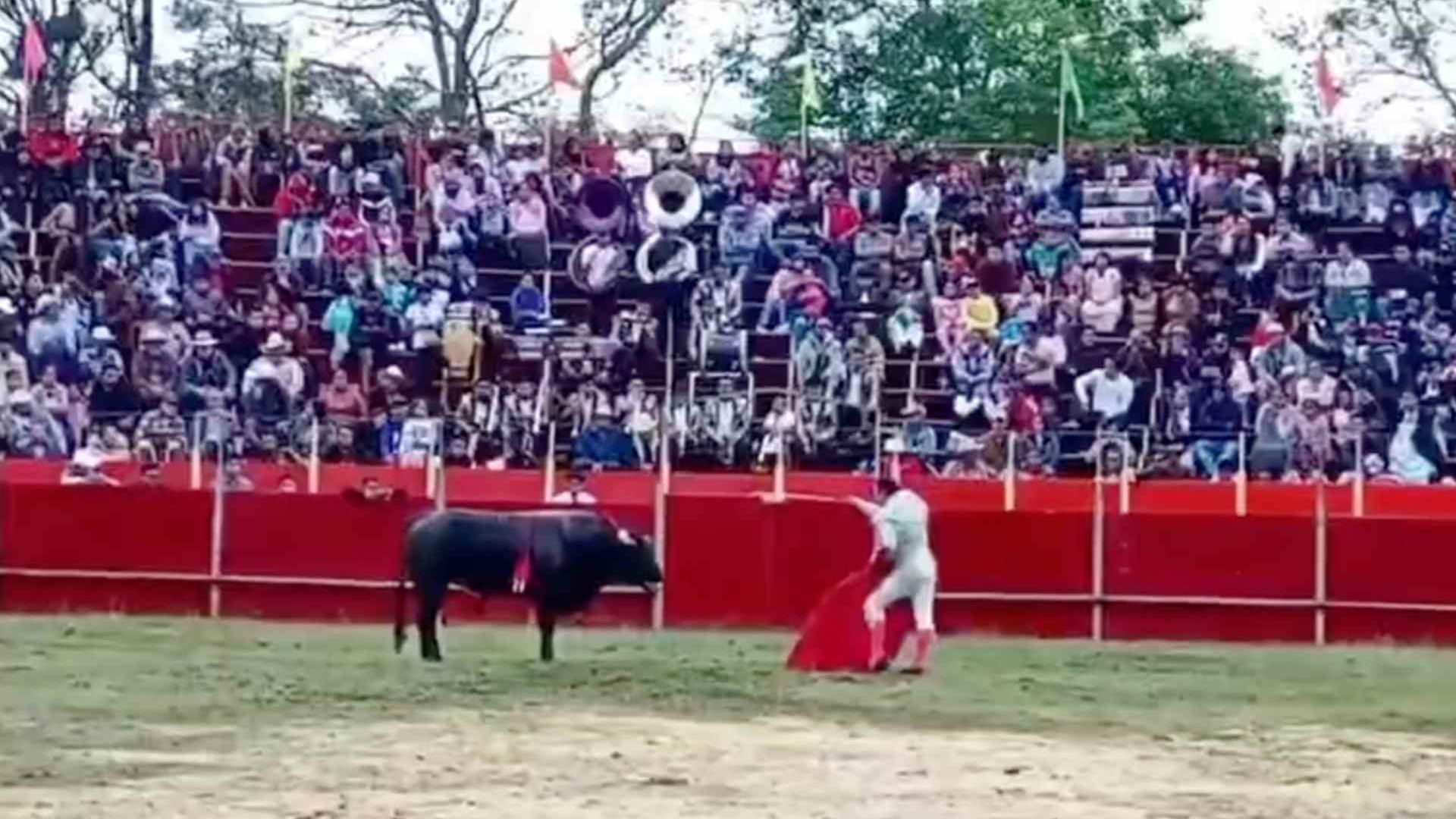 Matan Toro Durante Corrida de Toros en Feria Patronal en Ixhuatlancillo Veracruz