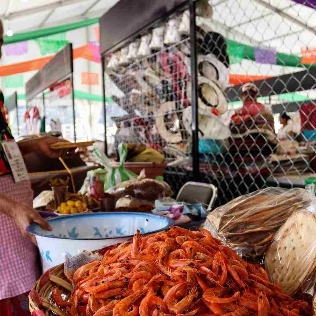 Fiesta de las Culturas Indígenas 2023 en Zócalo CDMX