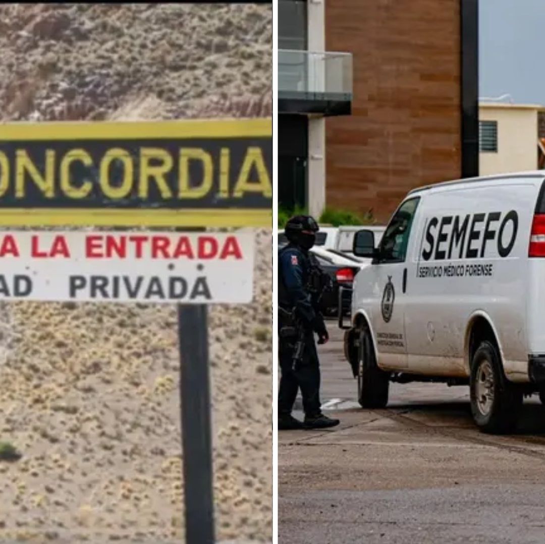 Caso Mineros Desaparecidos en Sinaloa Nos Tiene “Devastados por Resultado”: Director de Minera