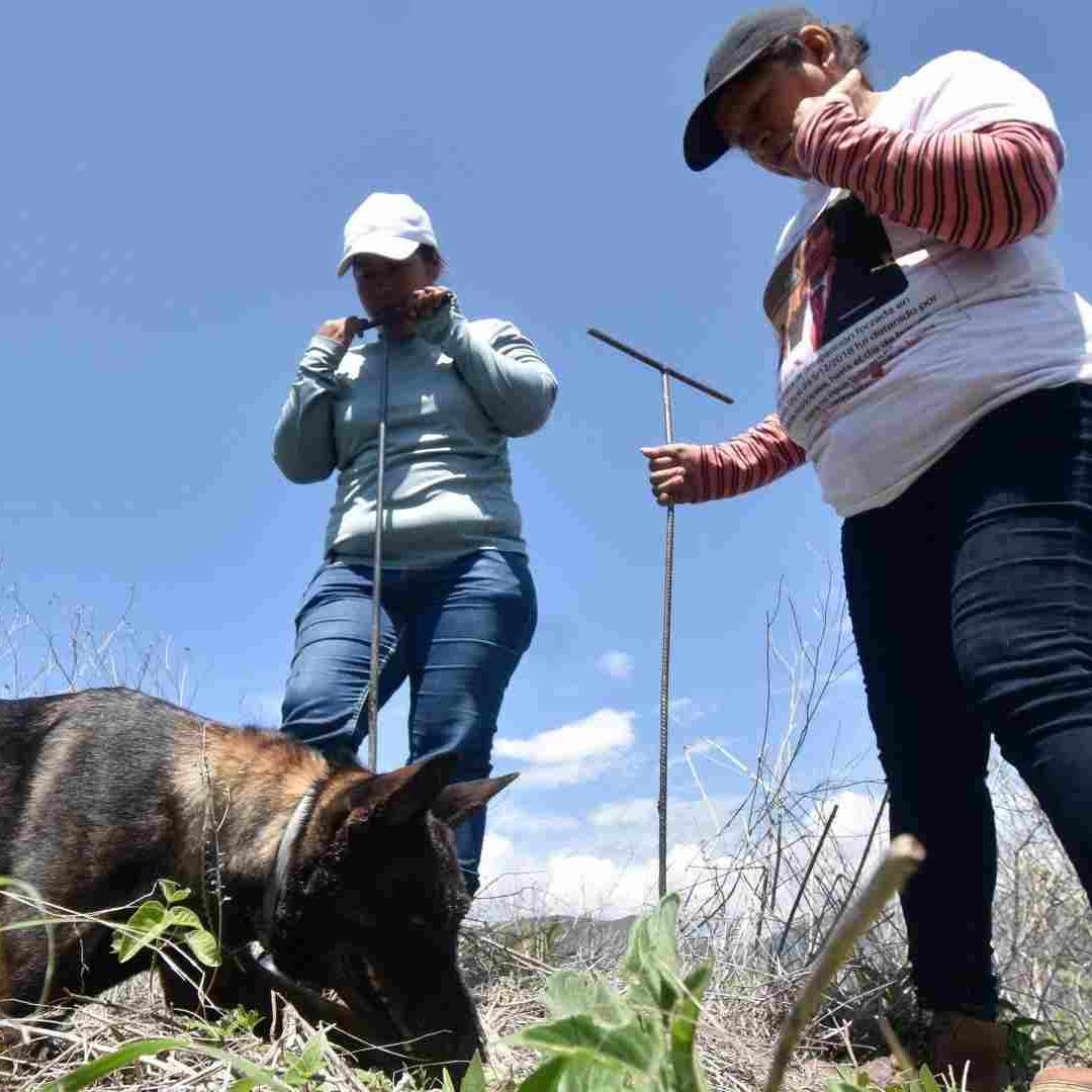 ¿La Ley General de Víctimas Tendrá Menos Recursos? Esto Discutirá la SCJN