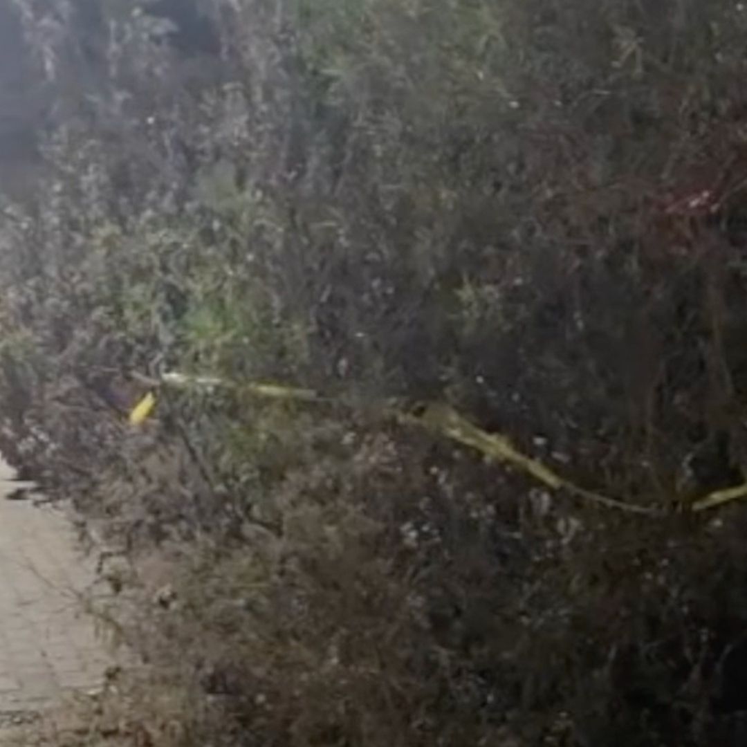 Cuerpo fue Encontrado Dentro de un Sillón en Joyas de La Loma en León; se Desconoce su identidad. Foto: N+