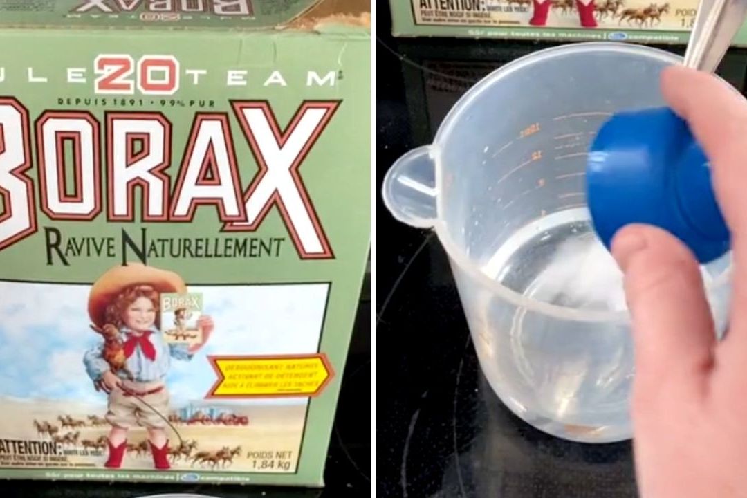 El bórax challenge o reto bórax consiste en tomar pequeñas cantidades de borato de sodio con agua, pero esto es malo para la salud