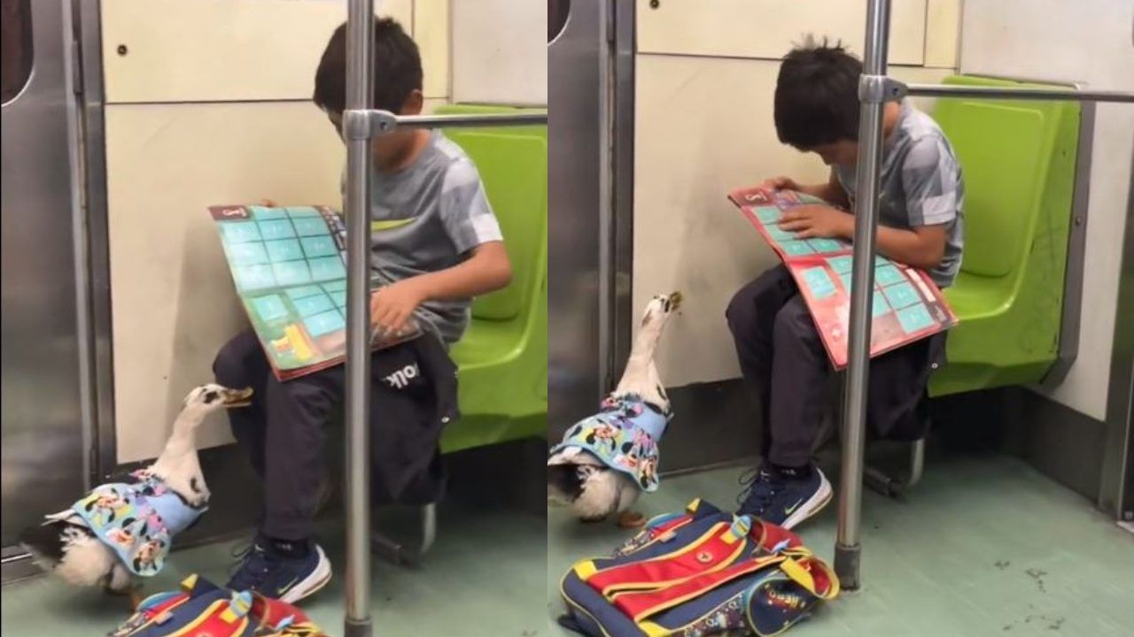 Niño Viaja con su Pato de Mascota en el Metro de CDMX