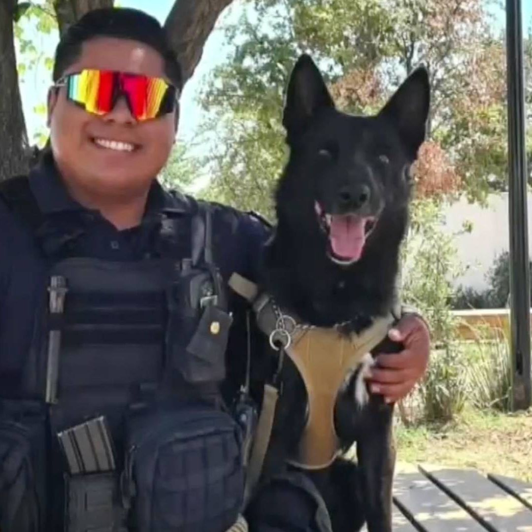Muere Agente Canino “Vico” Tras Intervención Policial en El Fresno, Chihuahua