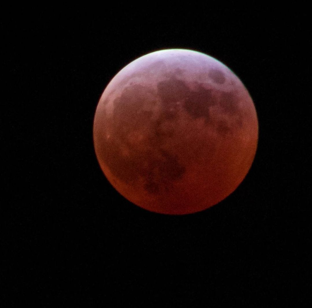 Eclipse solar febrero 2026. Cómo ver anillo de fuego en México