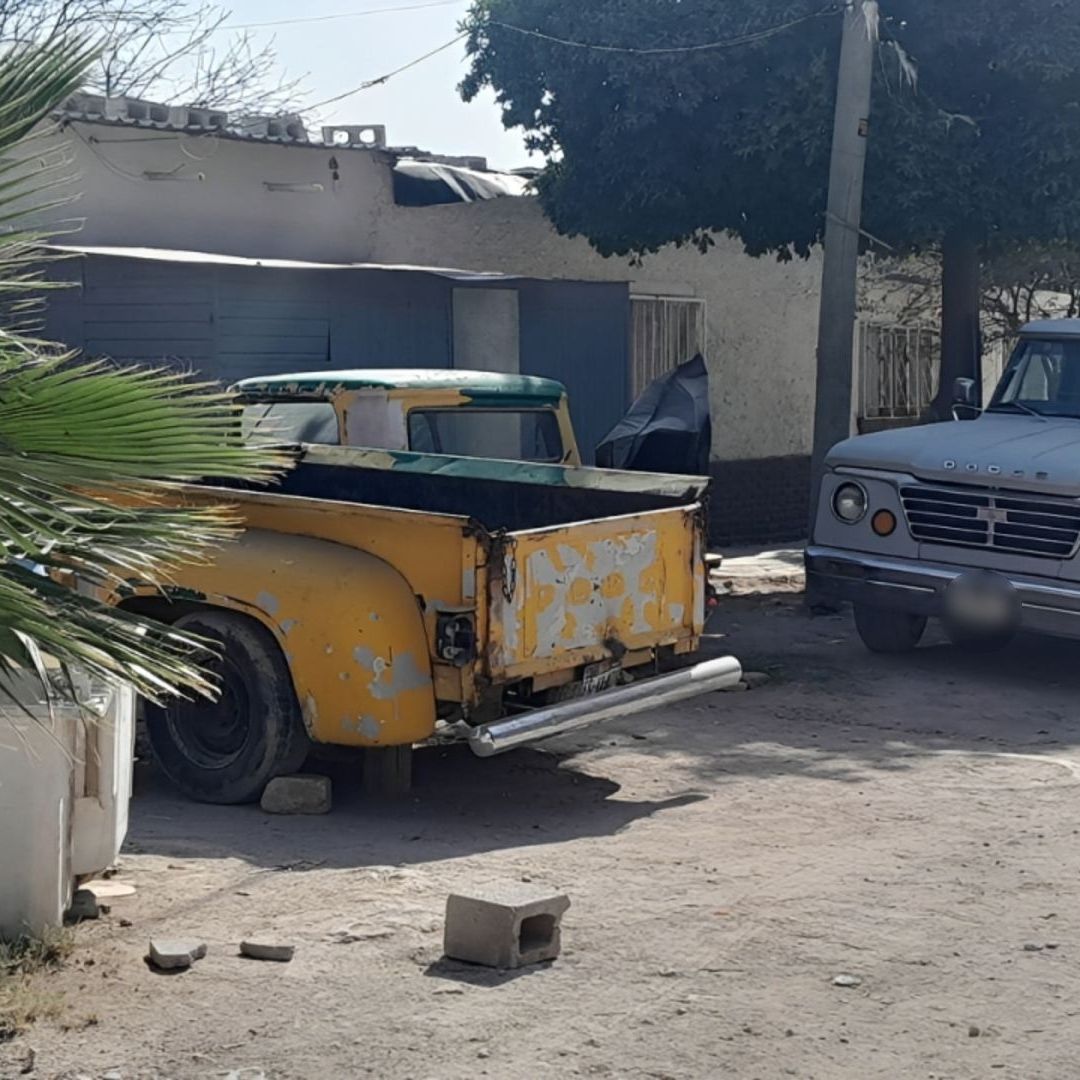 Envenenan a 26 Perros en Gómez Palacio