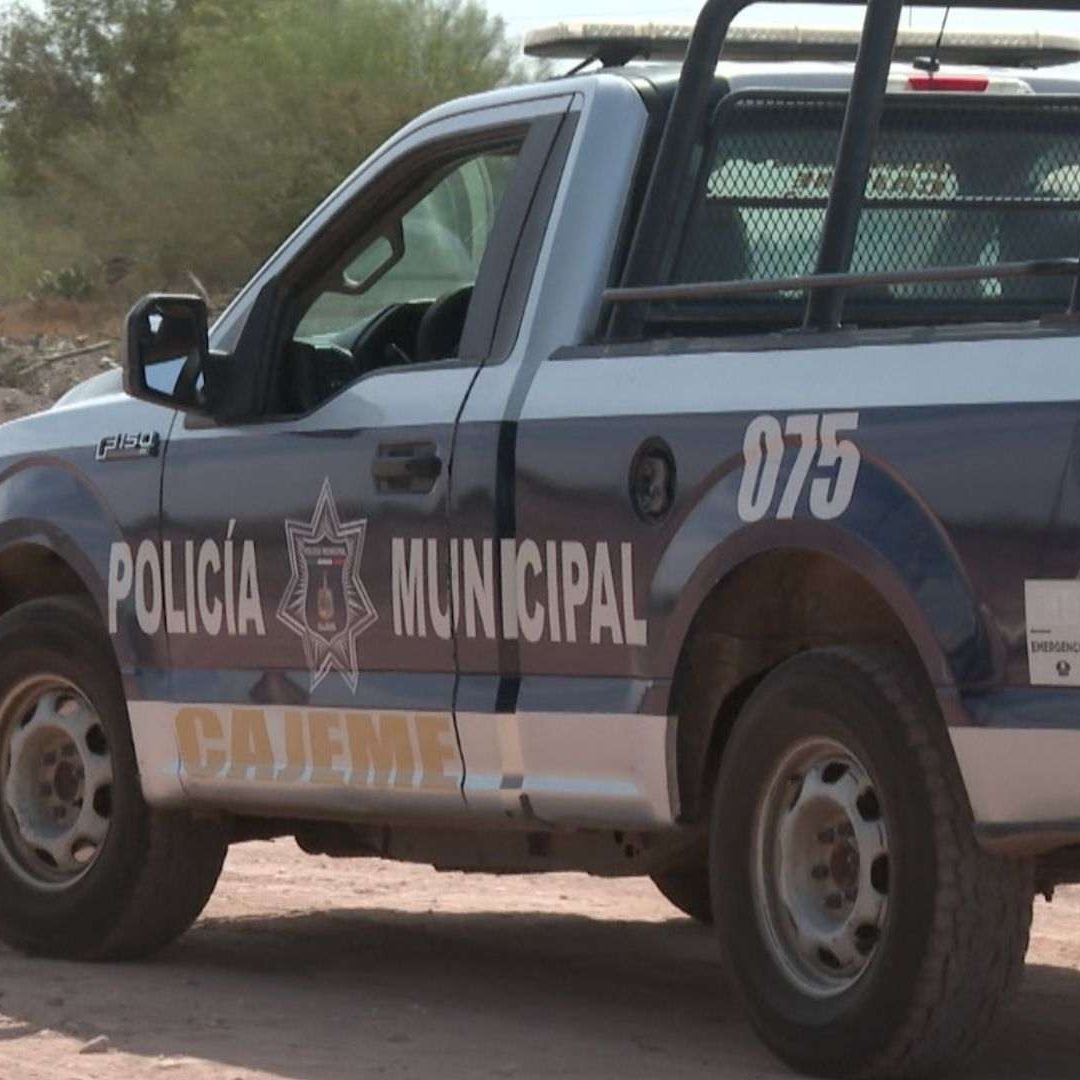 Detienen a Integrantes de Club de Caza por Disparar a Animales sin Permiso en Cajeme